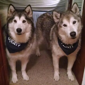 Fundraising Page: Caren Hendley